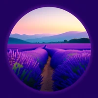 PatternHunterw